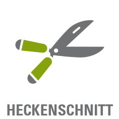 Heckenschnitt