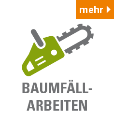 Baumfällarbeiten