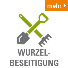 Wurzelbeseitigung