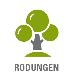 Rodungen